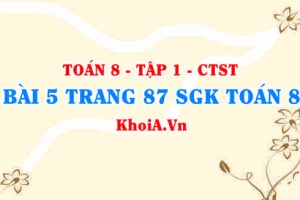 Bài 5 trang 87 SGK Toán 8 Tập 1 Chân trời sáng tạo